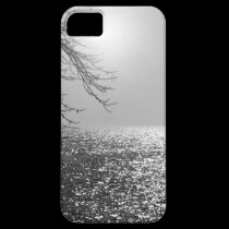 New iphone5 Misty Moonlight Over Lake cover casemate cases