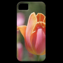 New iphone5 Orange Mandarin Tulip cover casemate cases