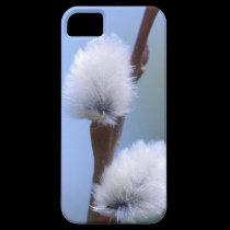 NEW iphone5 Spring Willow cover casemate cases
