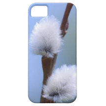 NEW iphone5 Spring Willow cover iPhone 5 Cases