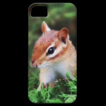 NEW iphone 5  Cute Chipmunk cover casemate cases
