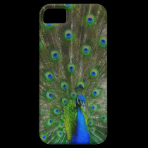 NEW iphone 5 Peacock cover casemate cases