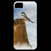 NEW iphone 5  Winter Visitor  .. Chickadee casemate cases