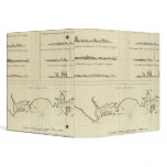 New Ireland binders