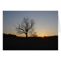 New Jersey Devil's Tree at Dusk cards
