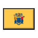 New Jersey Flag t-shirts