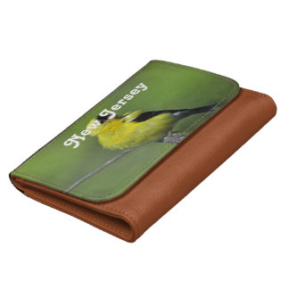 coach wallets goldfinch