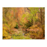 New Jersey in the Fall Post Cards