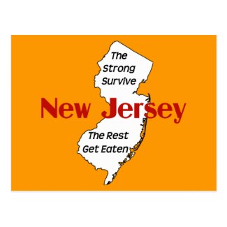 New Jersey: the strong survive; the rest get eaten Postcard