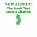Ladies Baby Doll (Fitted)