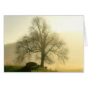 New life in winter's dying days cards