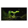 New life photo card template