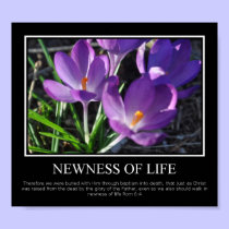 New Life posters