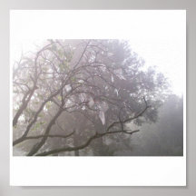 New Life Posters