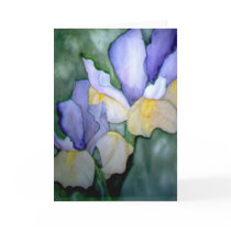 "New Love" - to benefit Kairos Outside Cards