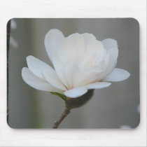New Magnolia Centennial  Bloom mousepads