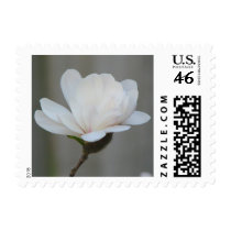 New Magnolia Centennial  Bloom Postage