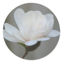 New Magnolia Centennial Bloom stickers