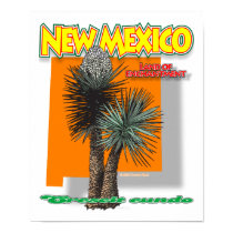 New Mexico bigmap yucca poster posters