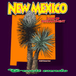New Mexico bigmap yucca shirt F/B