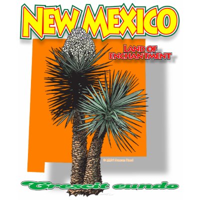New Mexico bigmap yucca shirt F/B by Duncan_Reed