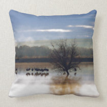 New Mexico Birds 2 in 1 American MoJo Pillow pillows