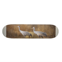 New Mexico Bosque Skateboard