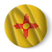 NEW MEXICO PIN