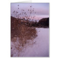 New Mexico Canyon Path cards