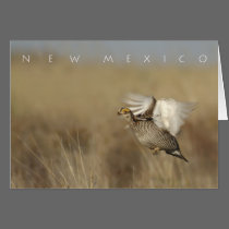 New Mexico Card