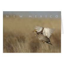 New Mexico Card