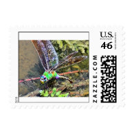 New Mexico Dragonfly First Class Postage Stamp