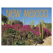 New Mexico flyers by original_designs New Mexico flyers