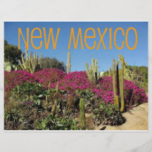 New Mexico Flyer