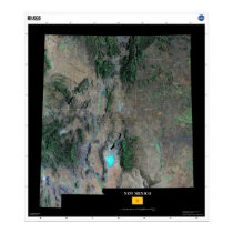 New Mexico From Space Poster