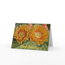 New Mexico - Land of Enchantment cards