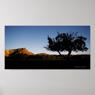 New Mexico Landscape Poster