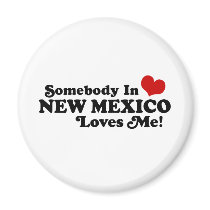 New Mexico Magnet