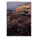 New Mexico Mesa cards