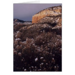 New Mexico Mesa