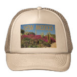 New Mexico Mesh Hat