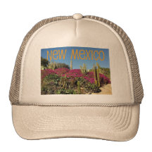New Mexico Mesh Hat