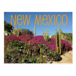 New Mexico Post Card
