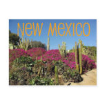 New Mexico Post Card