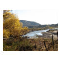 New Mexico Poster posters