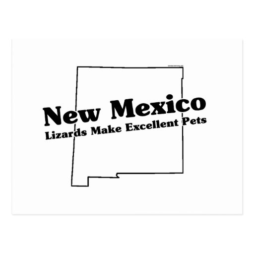 New Mexico State Slogan Postcard Zazzle