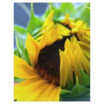 New Mexico Sunflower flyers by SusanJane1207 New Mexico Sunflower flyers