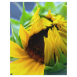 New Mexico Sunflower Full Color Flyer