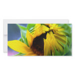 New Mexico Sunflower Photo Card Template