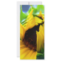 New Mexico Sunflower rack cards by SusanJane1207 New Mexico Sunflower rack cards